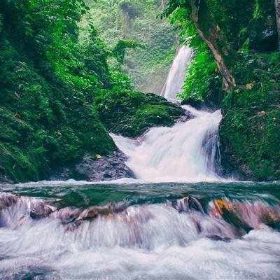 天天爱打怪红包版下载